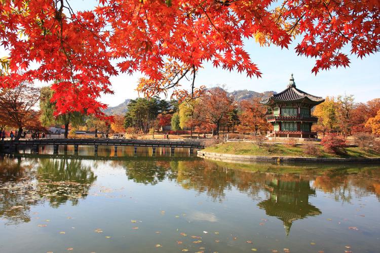 Du lịch Hàn Quốc mùa thu Cung điện Gyeongbokgung